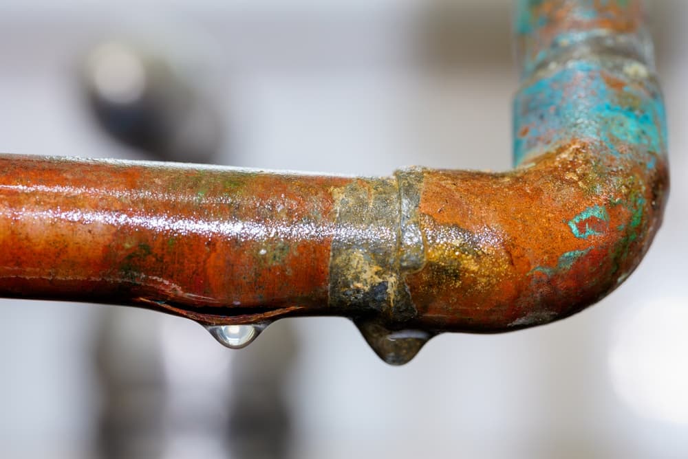 Legionella Risk Assessment: Landlord Duties and Templates