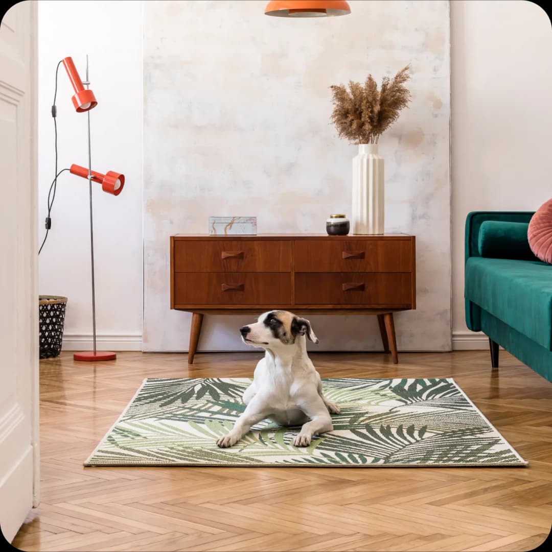 Flexible 5-year term